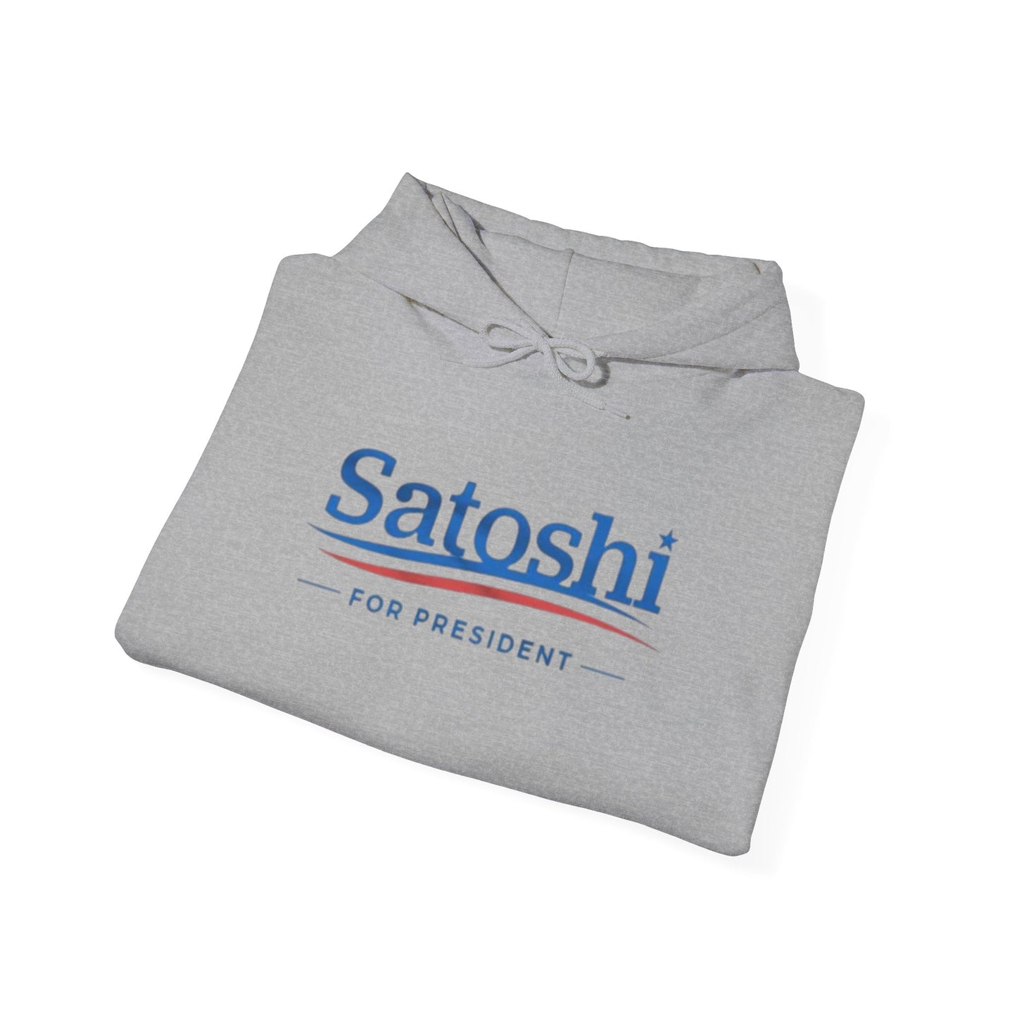 SATOSHI PRESIDENT heavyweight hoodie