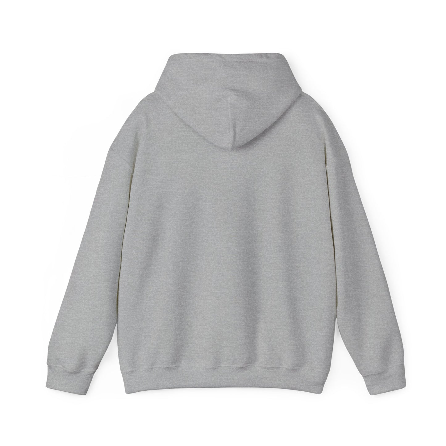 BITCOIN PILL heavyweight hoodie