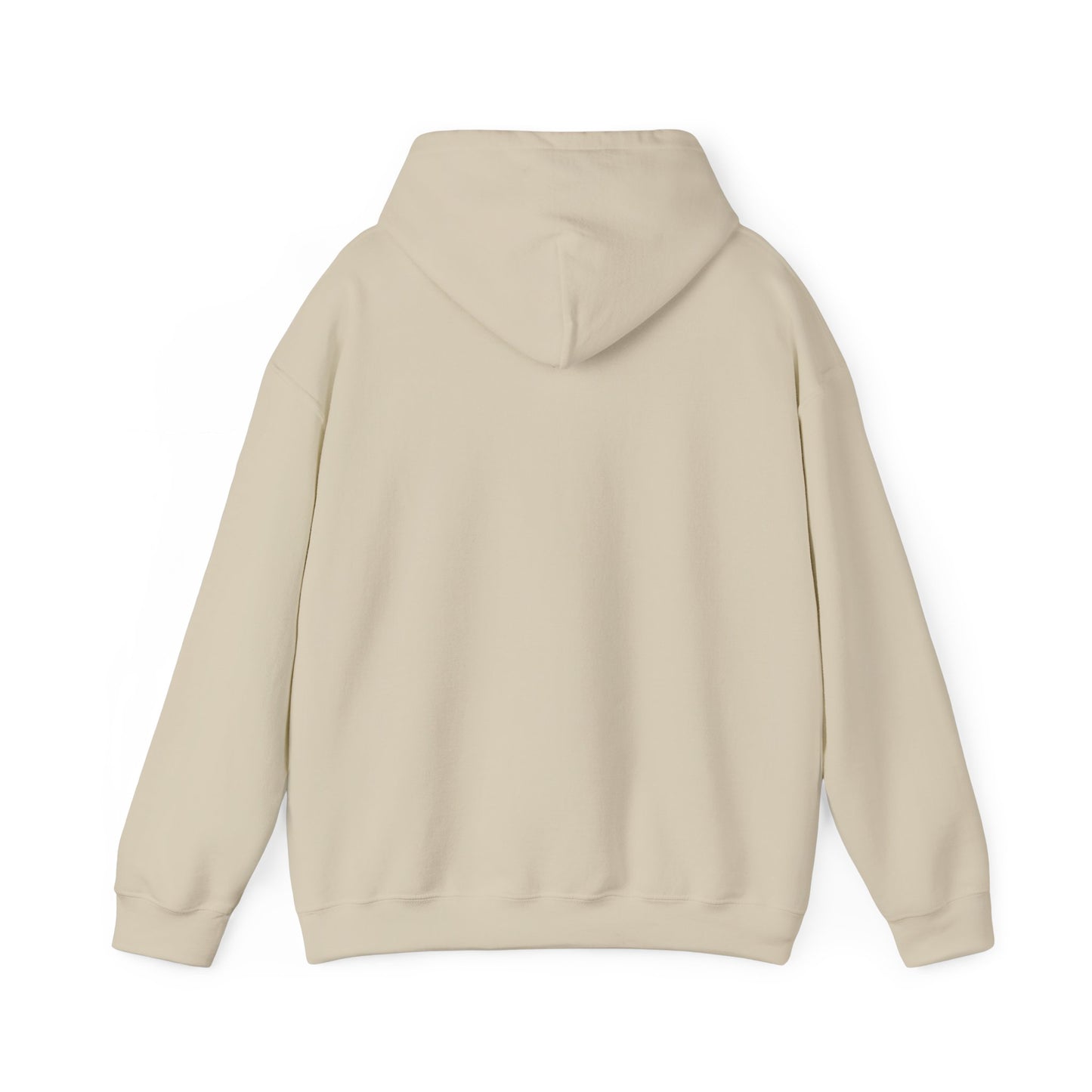 BITCOIN PILL heavyweight hoodie