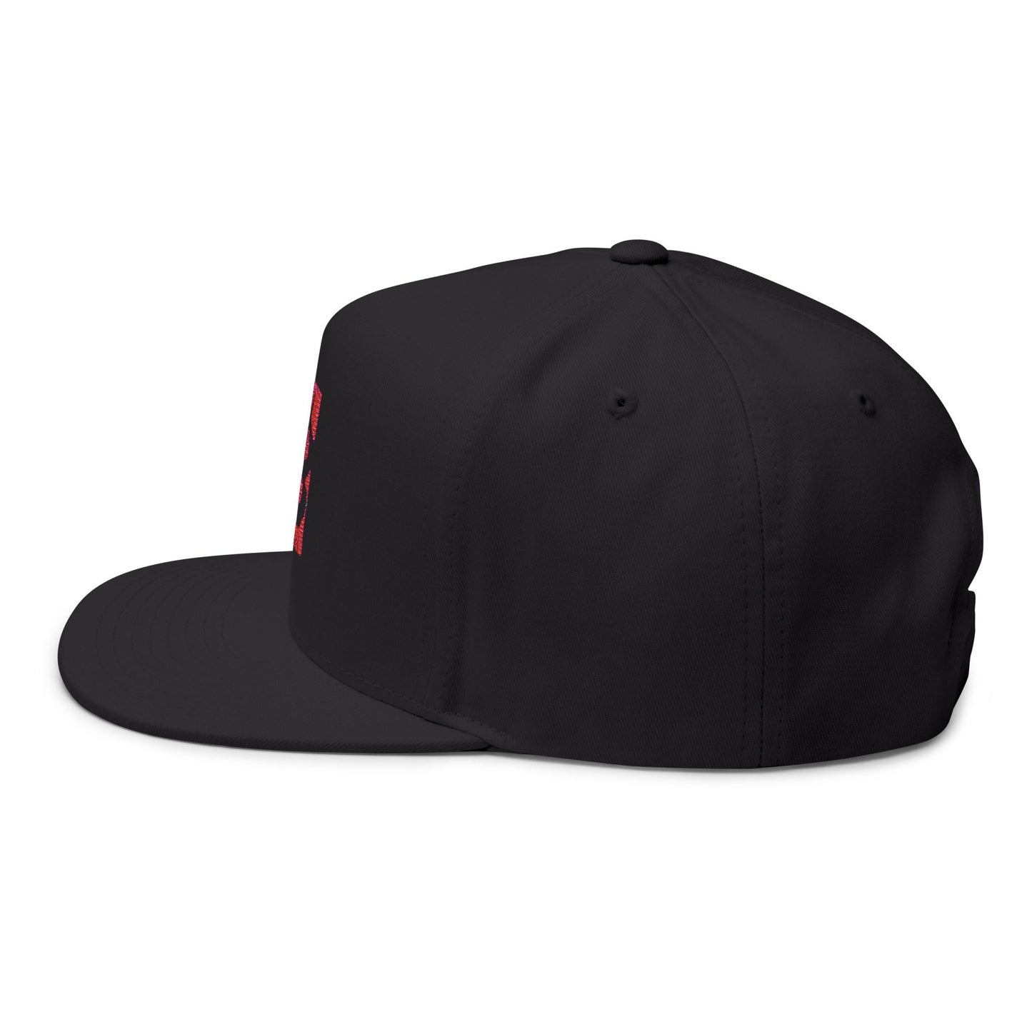 BITCOIN BTC NBA SNAPBACK CAP