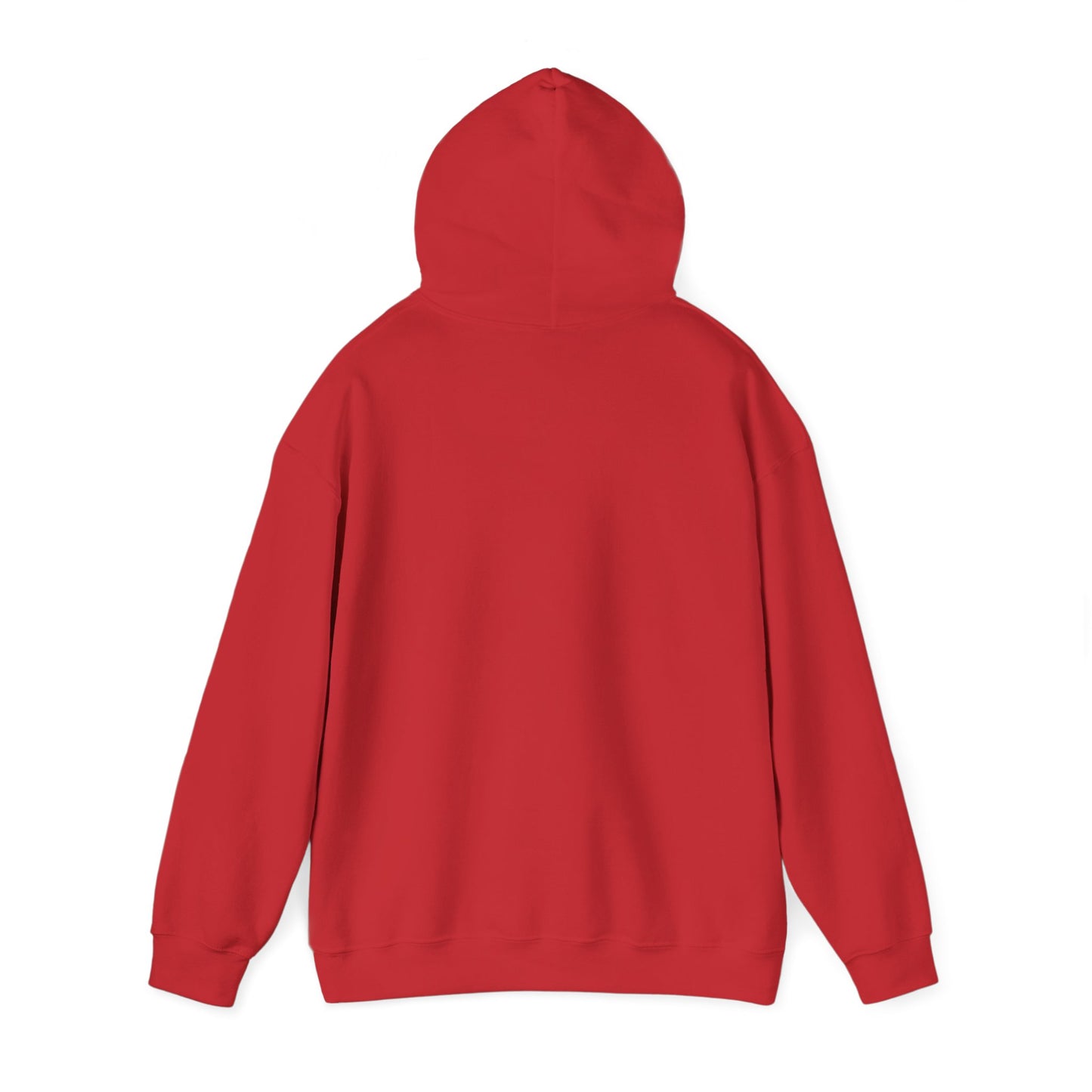 FIX THE MONEY heavyweight hoodie