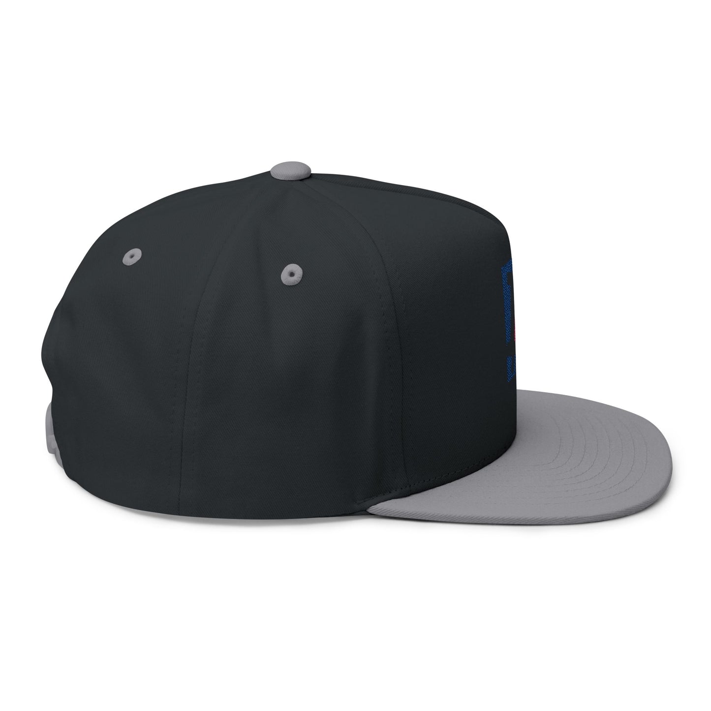 BITCOIN BTC NBA SNAPBACK CAP