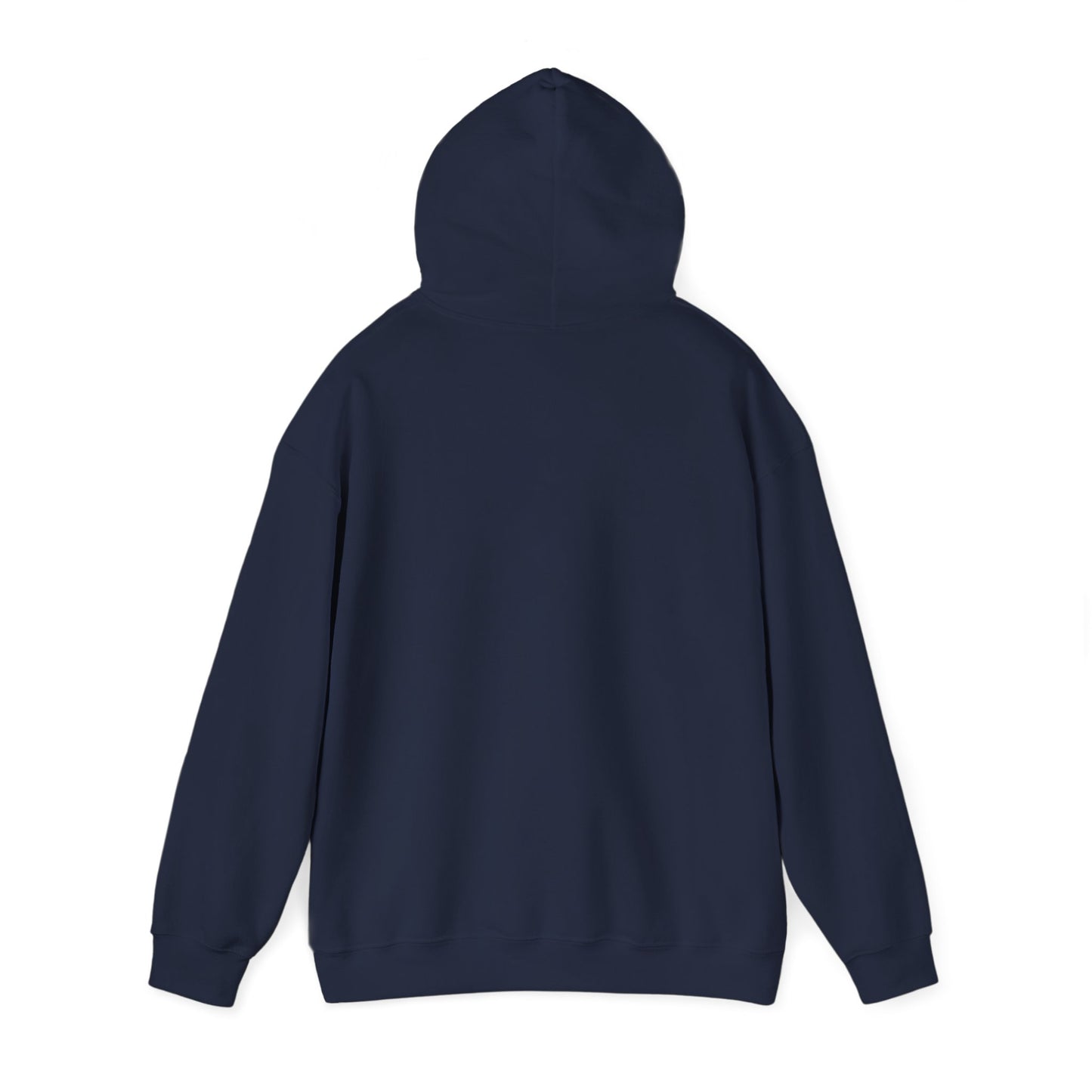 ROGUE MONEY heavyweight hoodie